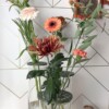 3-Delige Bloemhouder Set voor IKEA Cylinder Vazen