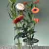 3-Delige Bloemhouder Set voor IKEA Cylinder Vazen