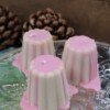 Mini Pudding Toetjes