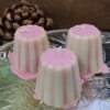 Mini Pudding Toetjes
