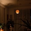 Neptunea - Bruine Biobased en Circulaire Hanglamp