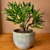 (Planten)potje keramiek lichtblauw gemêleerd handgedraaid 7x8,5cm