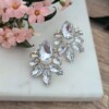 Strass spark oorbellen