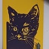 Kitty