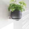 Plantdrager Flora Wit | ø12cm