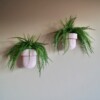 bloempothouder Flora Goud Eco + Pot Pink Blossom