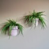 bloempothouder Flora Zwart ø 15cm Eco + Pot Pink Blossom