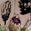 handgemaakt getuft wandkunstwerk met een gestileerd ontwerp van een proteabloem