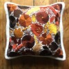 Mexicaanse kussenhoezen, witte, regio Chiapas, mexicaanse textiel, mexicaanse decoratie, mexicaans ontwerp.