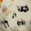Oorbellen | Tony warm marble