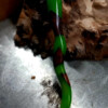 Scheermes houder van walnoot en epoxy Groen
