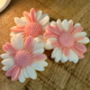 Valentijn Flowers Wax melts