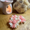 Valentijn Flowers Wax melts