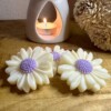 Waxmelts Spicey Samba