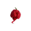 Carolina Reaper Zaden – Kweek de heetste peper ter wereld