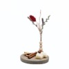 DIY pakket - Droogbloemen met geurdecoratie - kaneel