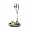 DIY pakket - Droogbloemen met geurdecoratie - pine