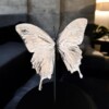 Echte papilio vlinder, opgezet en verguld met zilver - taxidermie kunstwerk onder glazen dome