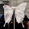 Echte papilio vlinder, opgezet en verguld met zilver - taxidermie kunstwerk onder glazen dome