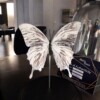 Echte papilio vlinder, opgezet en verguld met zilver - taxidermie kunstwerk onder glazen dome