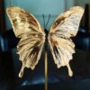 Echte papilio vlinder verguld in 23ct goud onder glazen dome