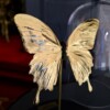 Echte papilio vlinder verguld in 23ct goud onder glazen dome