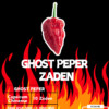 Ghost Pepper zaden – Kweek je eigen vurige sensatie