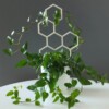 Honey Honing Plantensteun 3D Geprint Perfect Voor Elk Planttype