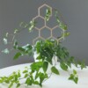 Honey Honing Plantensteun 3D Geprint Perfect Voor Elk Planttype