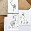 Kaarten set geboorte