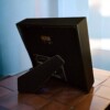PacTube 23ct goud verguld kunstwerk in lijst