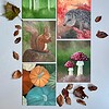 Schilderij "Paddenstoelen" - origineel kunstwerk in olieverf