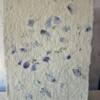 Poster gemaakt van handgeschept papier met blauwe bloemen (inclusief passe-partout)