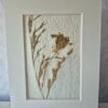 Poster gemaakt van handgeschept papier met gedroogd onkruid (inclusief passe-partout)