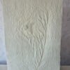 Poster gemaakt van handgeschept papier met gedroogd onkruid (inclusief passe-partout)