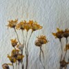 Poster gemaakt van handgeschept papier met gele bloemen (inclusief passe-partout)