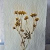 Poster gemaakt van handgeschept papier met gele bloemen (inclusief passe-partout)