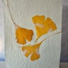 Poster gemaakt van handgeschept papier met ginkoblad (inclusief passe-partout)