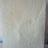 Poster gemaakt van handgeschept papier met ginkoblad (inclusief passe-partout)