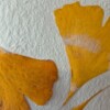 Poster gemaakt van handgeschept papier met ginkoblad (inclusief passe-partout)
