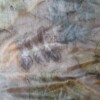Sjaal pongee zijde, naturel kleuren, 180 x45 cm