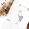 Verjaardag kalender