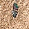 Zeeglas Follow The Sun Ketting Zilver - Laguna Treasures