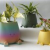 Zittende Lachende Plantenpot Maat XLL