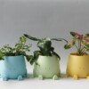 Zittende Lachende Plantenpot Maat XLL