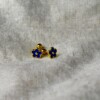 925 zilveren Flora studs in blauw