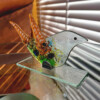 Geluksvogel van gerecycled glas maat L