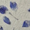 Handgeschept papier met accenten van blauwe bloemblaadjes in een donkergroene A4 lijst