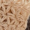Onderzetters in jute