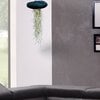 Reuze Jellyfish luchtplant met Spaans mos